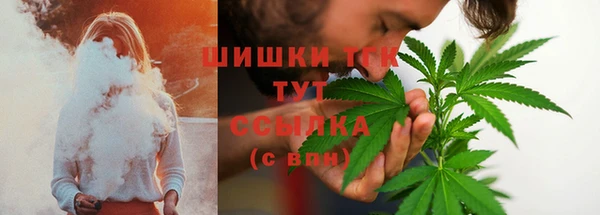 соль ск Медногорск