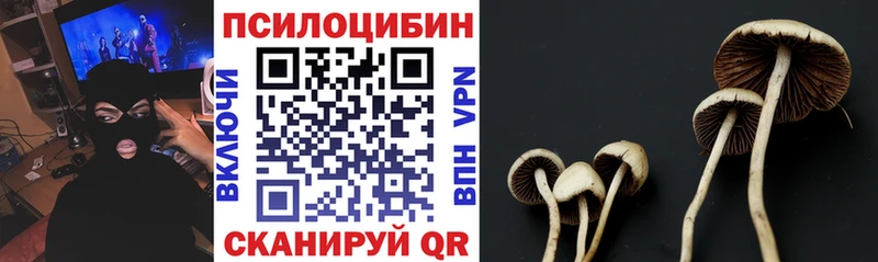 купить  цена  Миасс  Псилоцибиновые грибы Psilocybe 
