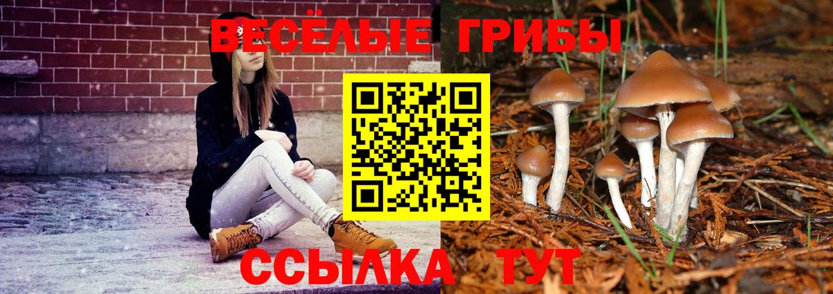 Галлюциногенные грибы прущие грибы  Вход с VPN  Миасс 