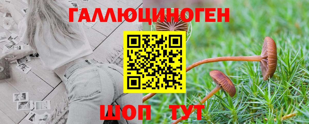 Галлюциногенные грибы GOLDEN TEACHER Миасс