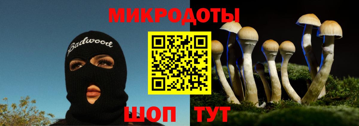 Галлюциногенные грибы GOLDEN TEACHER Миасс